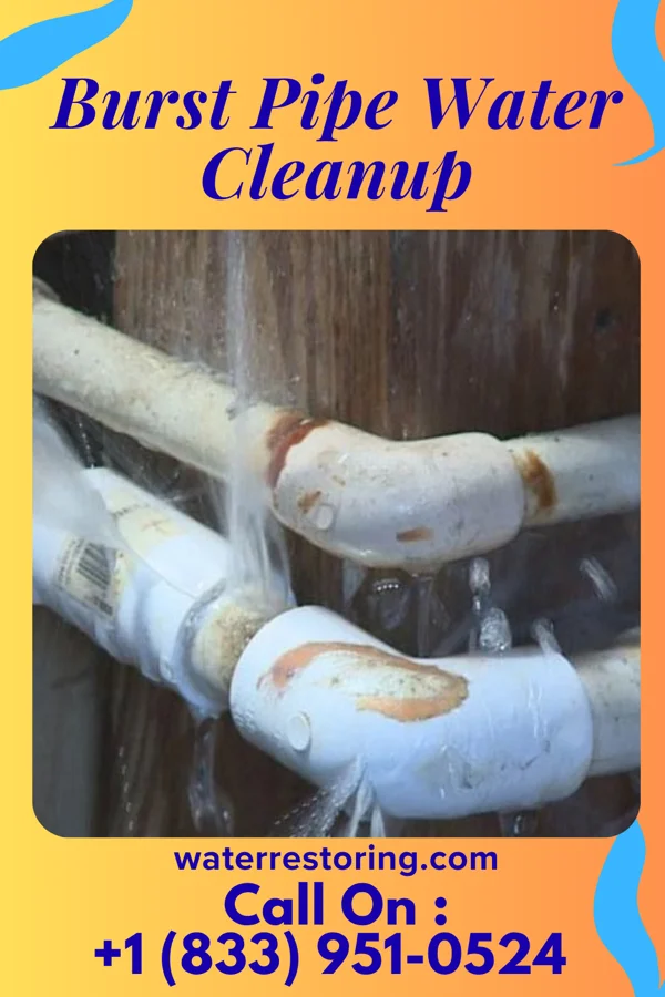 Burst Pipe Water Cleanup in Luxemburg, WI