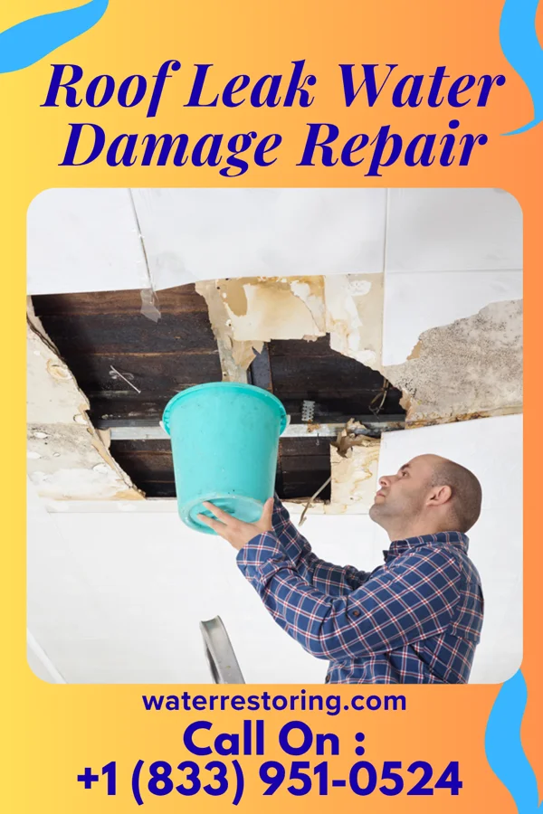 Roof Leak Water Damage Repair in Luxemburg, WI
