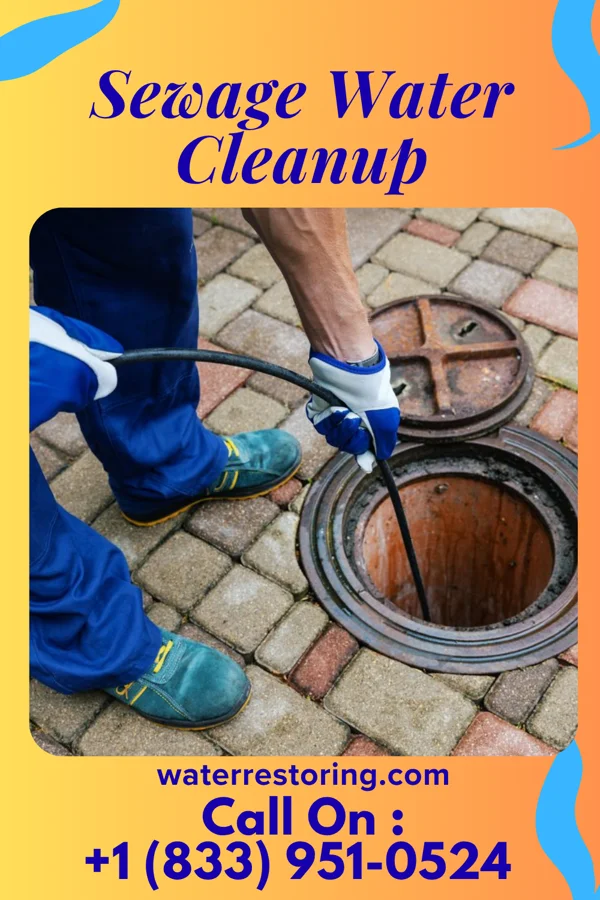 Sewage Water Cleanup in Luxemburg, WI