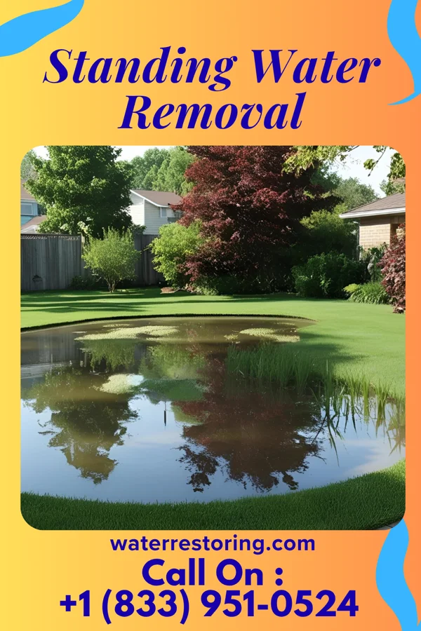 Standing Water Removal in Luxemburg, WI